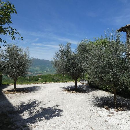 Borgo Crispiero Bed and Breakfast Εξωτερικό φωτογραφία