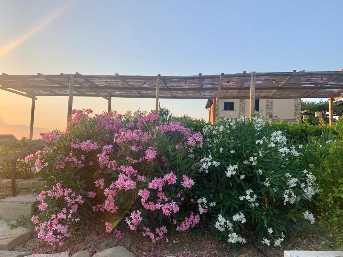 Borgo Crispiero Bed and Breakfast Εξωτερικό φωτογραφία