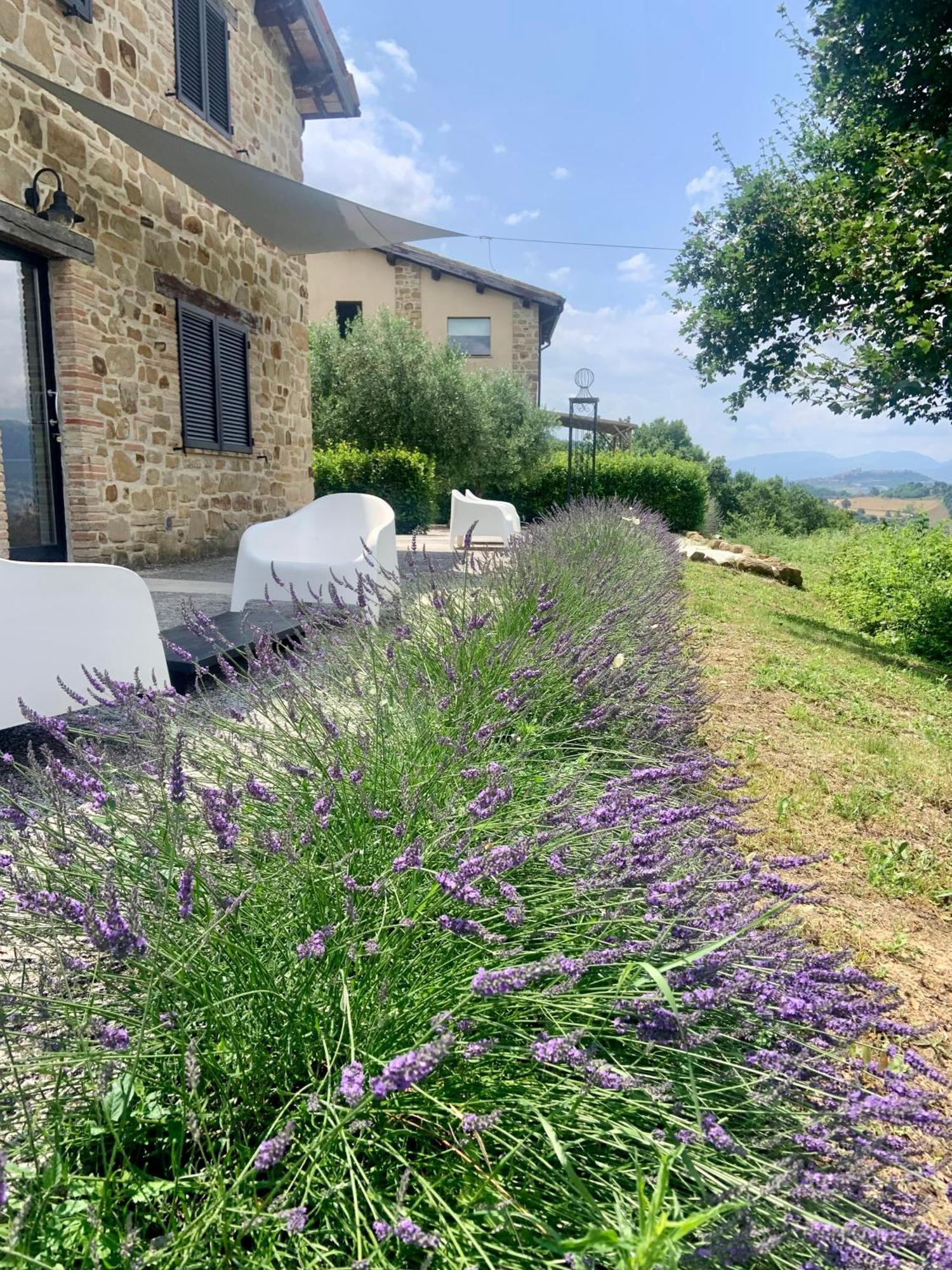 Borgo Crispiero Bed and Breakfast Εξωτερικό φωτογραφία