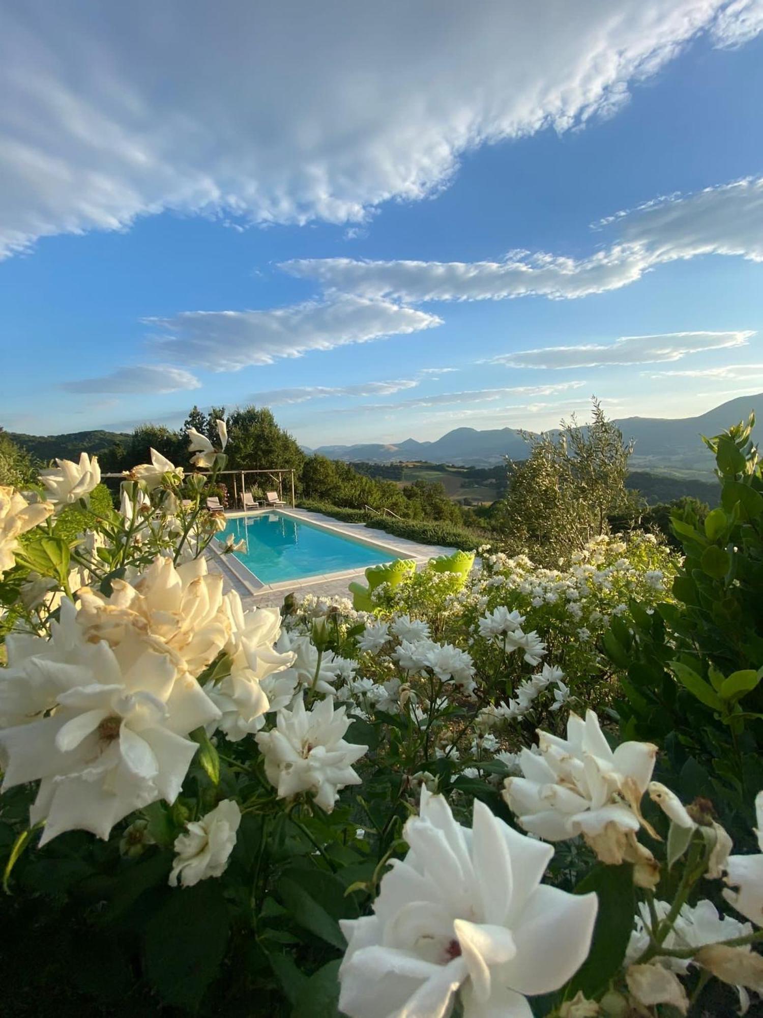 Borgo Crispiero Bed and Breakfast Εξωτερικό φωτογραφία